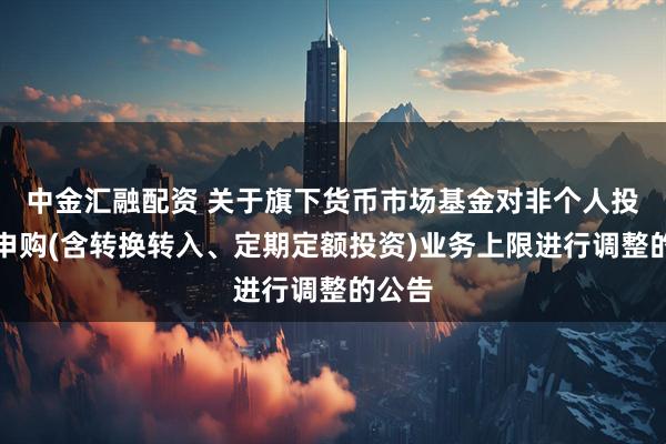 中金汇融配资 关于旗下货币市场基金对非个人投资者申购(含转换转入、定期定额投资)业务上限进行调整的公告