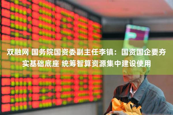 双融网 国务院国资委副主任李镇：国资国企要夯实基础底座 统筹智算资源集中建设使用