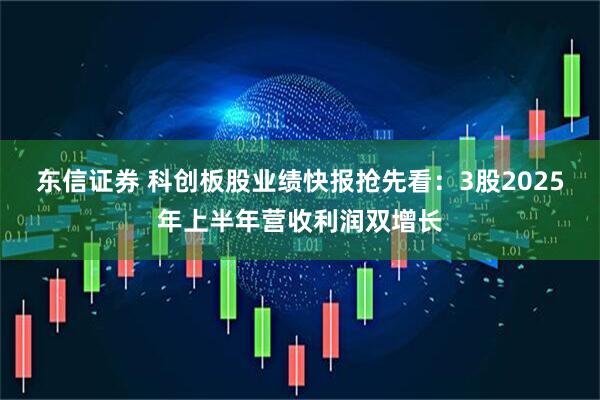 东信证券 科创板股业绩快报抢先看：3股2025年上半年营收利润双增长